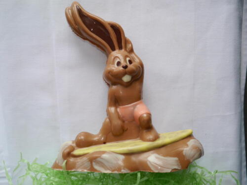 Surfer-Hase